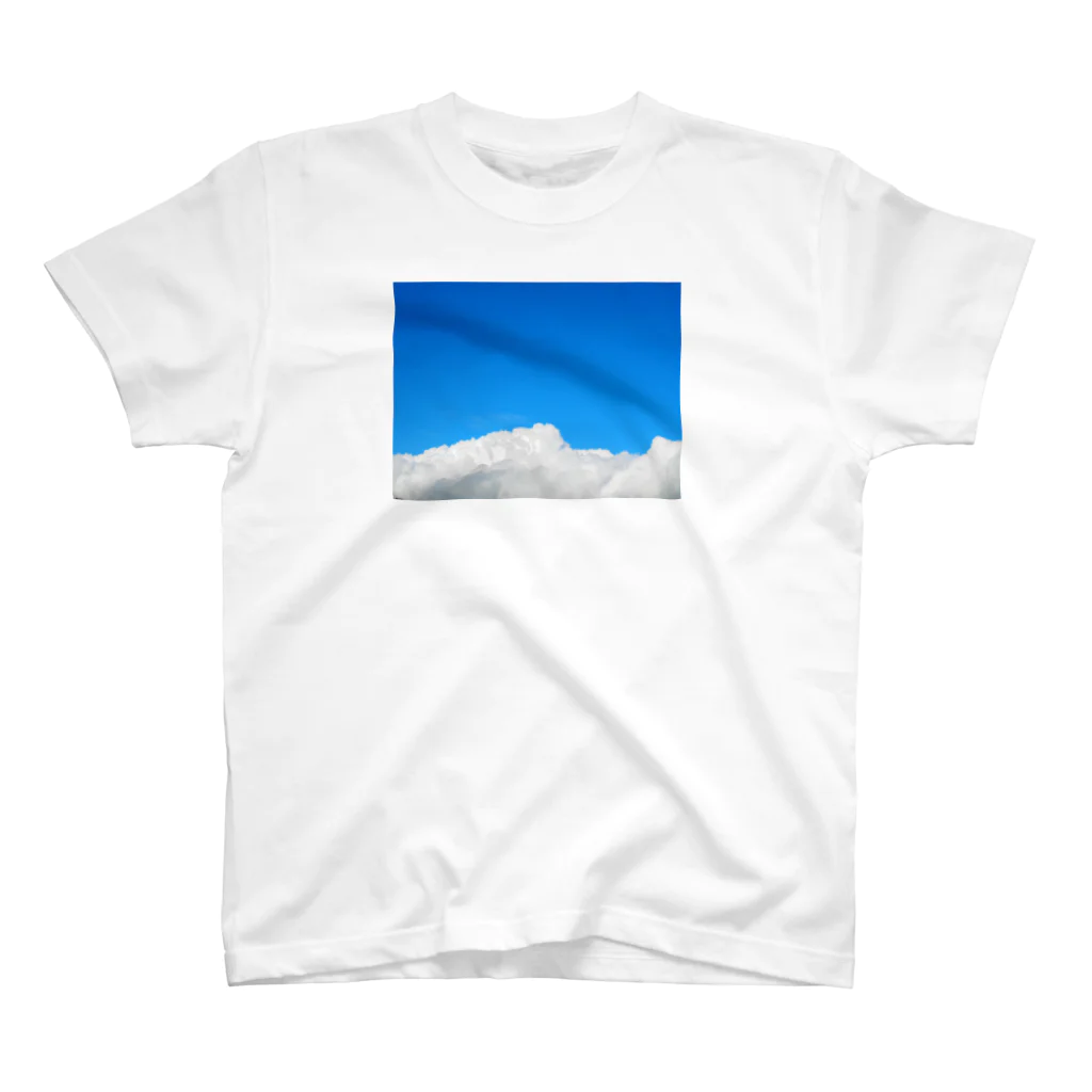 ttr_1992の夏 スタンダードTシャツ