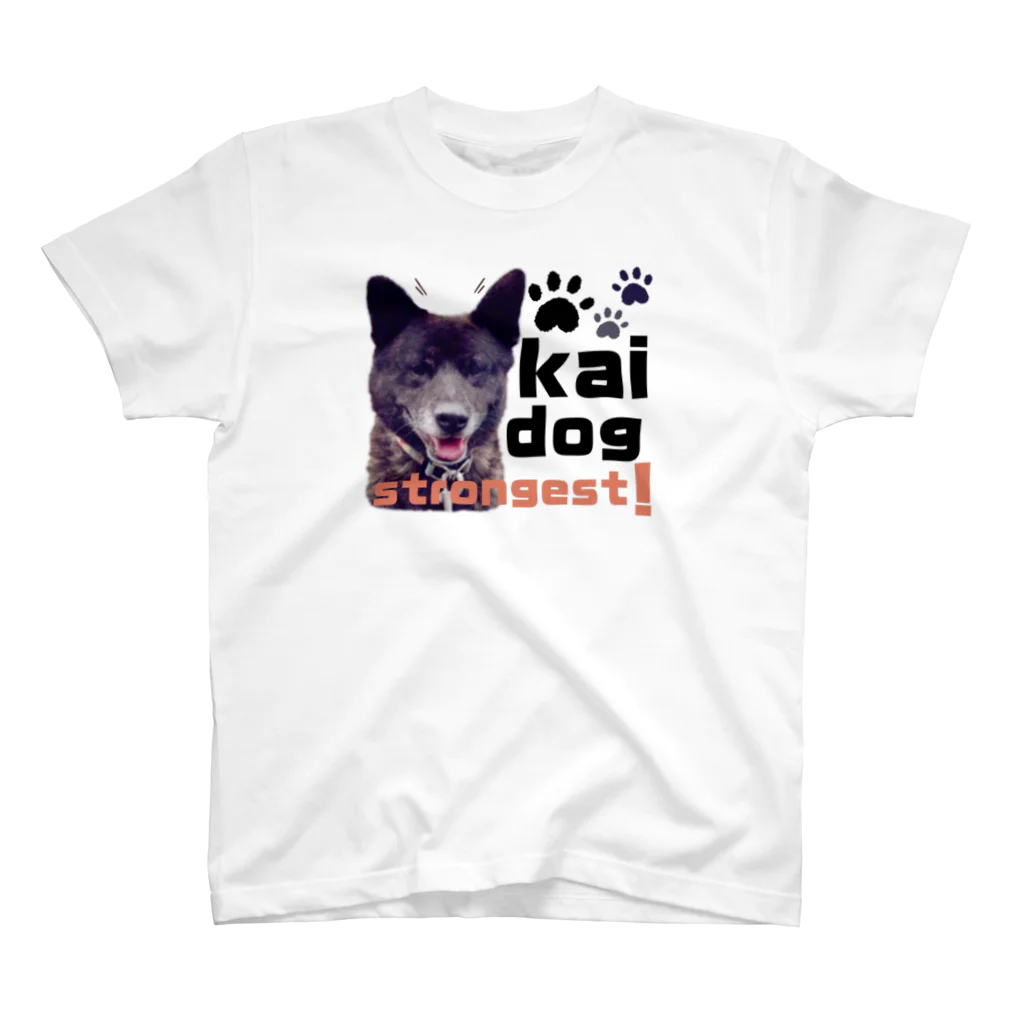 m/kの甲斐犬ネームなし Regular Fit T-Shirt