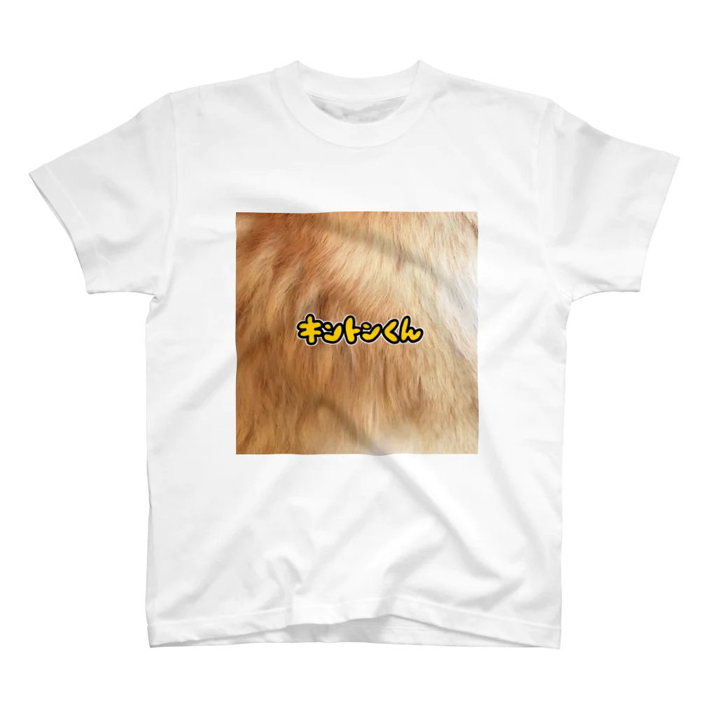 栗崎キントンのキントンの毛Ｔ Regular Fit T-Shirt