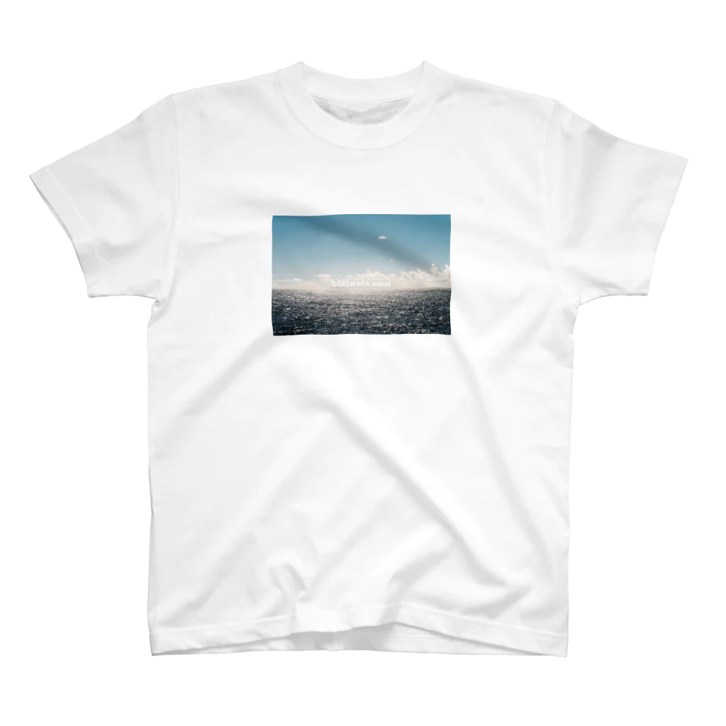 OGASWARA Islandのおがさわら丸から見た海と空 スタンダードTシャツ