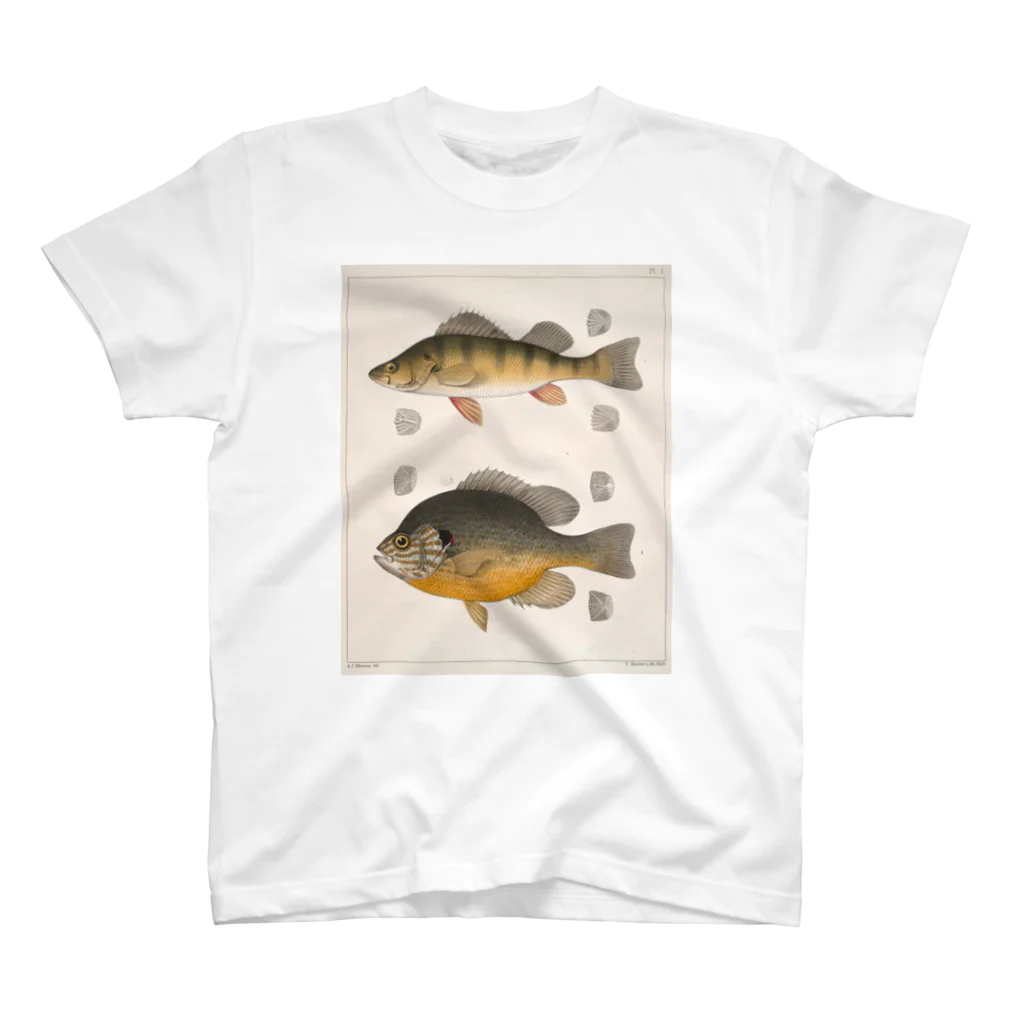 i love unofficialのfishT スタンダードTシャツ