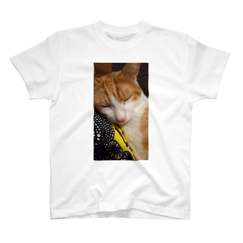 ocheycheyのうちの猫 Regular Fit T-Shirt