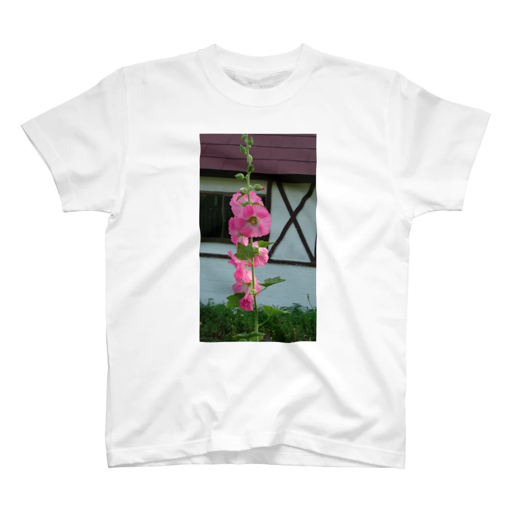 みかんの花 スタンダードTシャツ