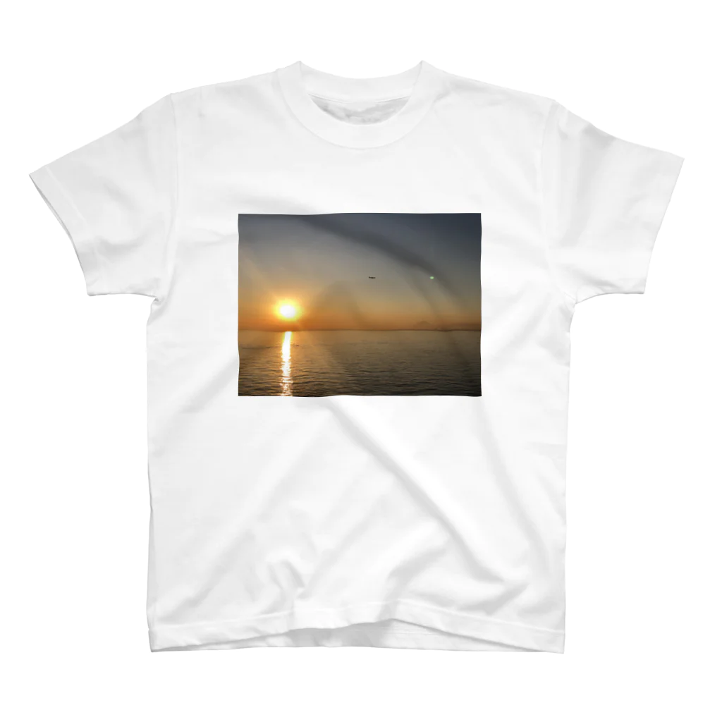 甲羅干しの夕陽の海 スタンダードTシャツ