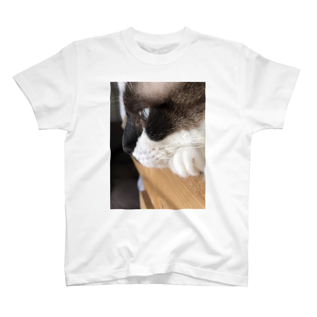 高橋　大介のみるく猫 スタンダードTシャツ