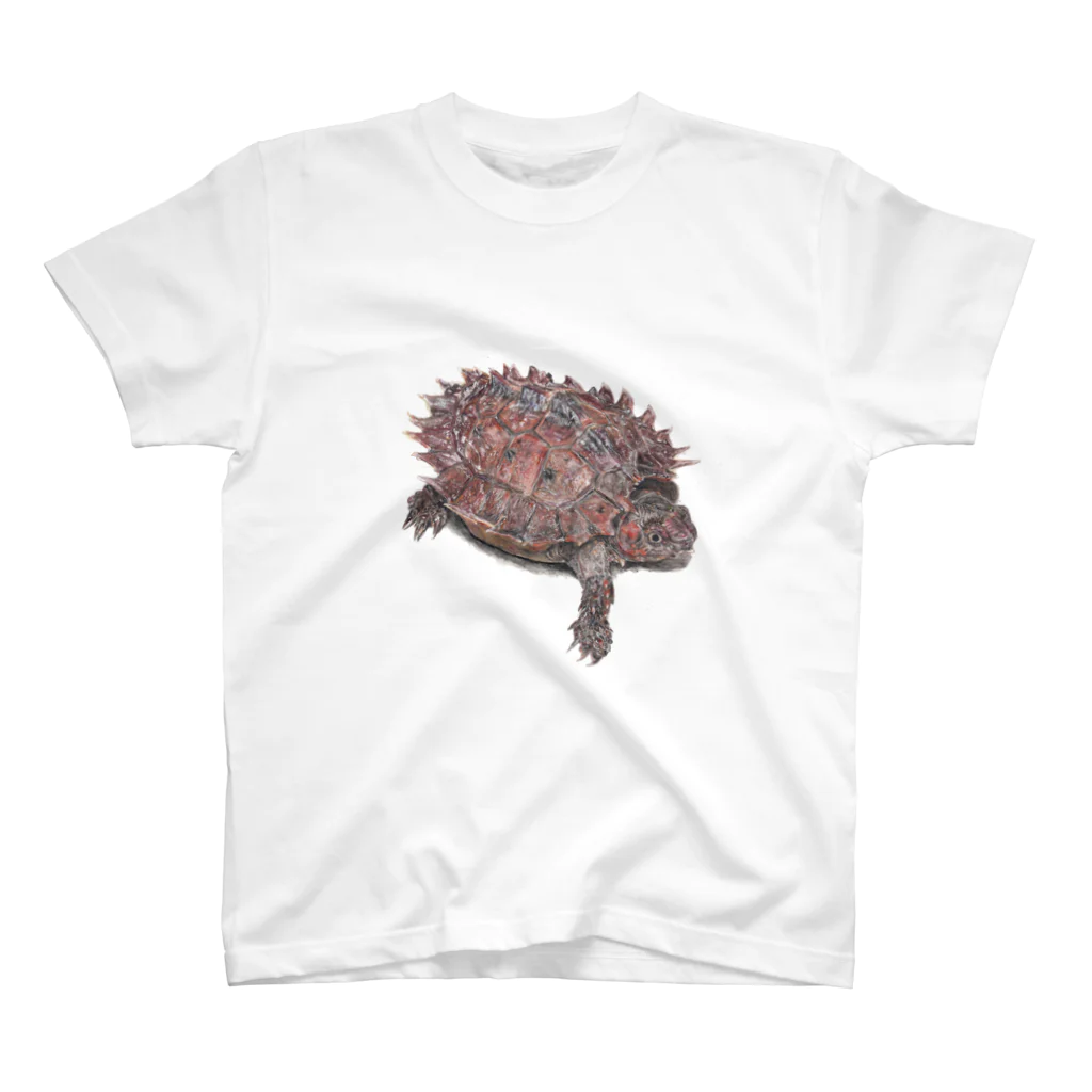 Kanon Tanakaのトゲヤマガメ Heosemys spinosa Regular Fit T-Shirt