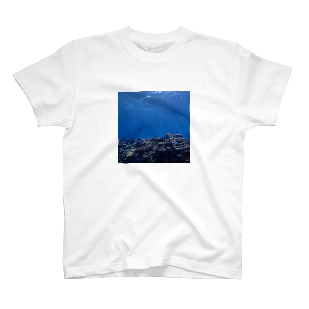 A_Uの別世界１ 西表島 スタンダードTシャツ