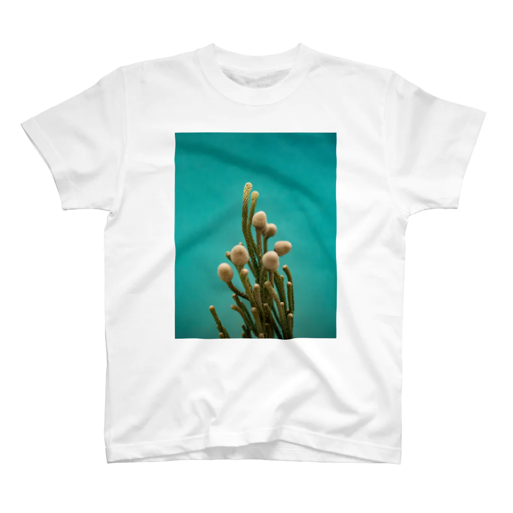 illairheadの腐海に生えている植物 スタンダードTシャツ