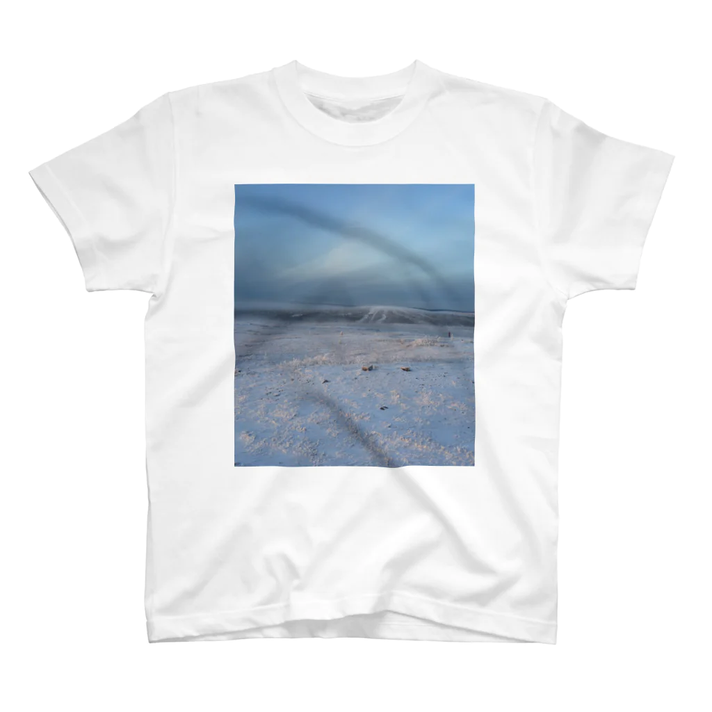 Orchestra:Suzuri支店の世界の風景:Arctic3 Regular Fit T-Shirt