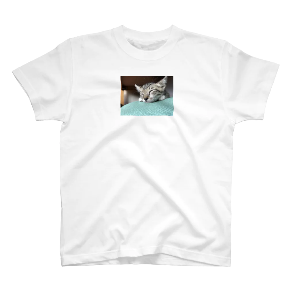 ほのぼのライフの子猫のちび スタンダードTシャツ