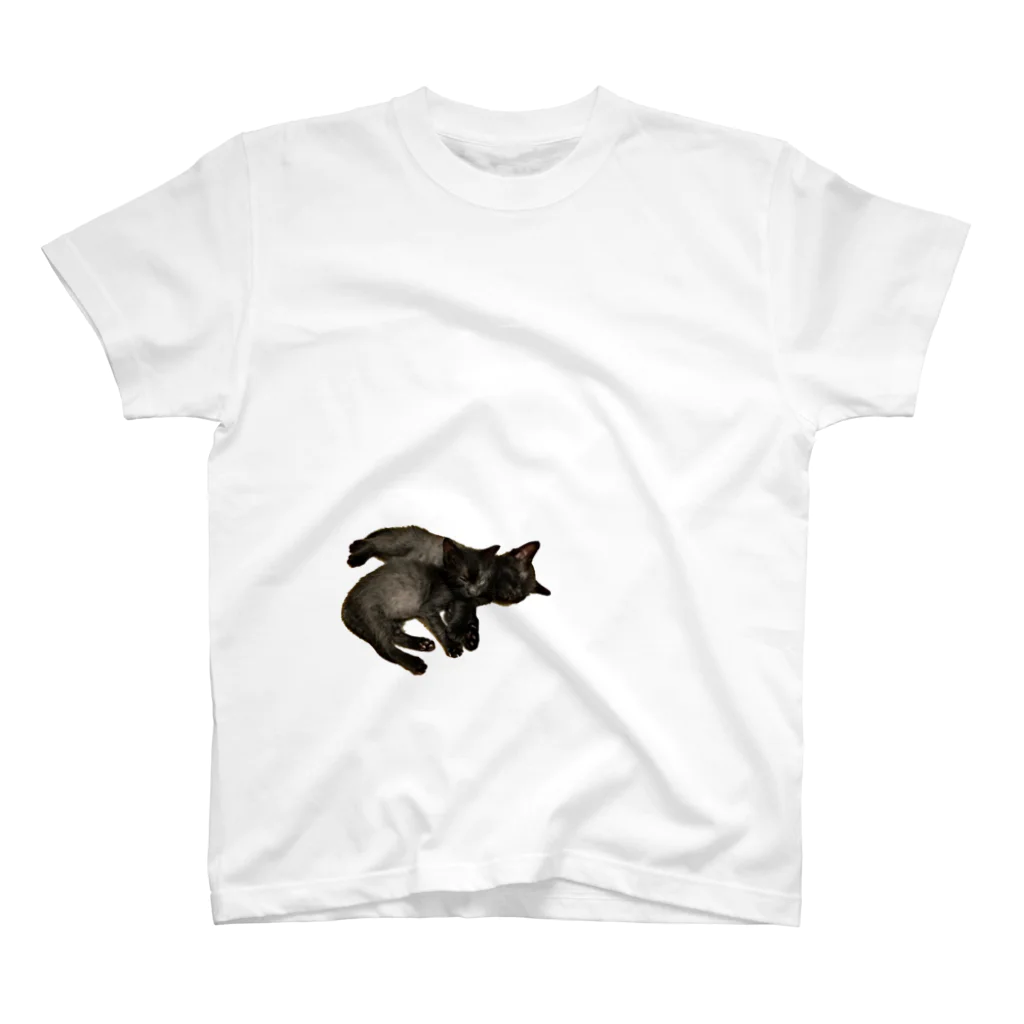 ZINZINの抱っ仔猫 スタンダードTシャツ