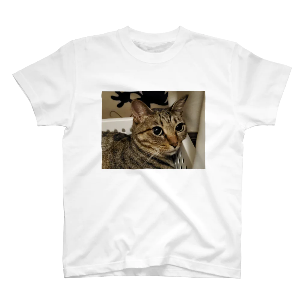 猫又雑貨店のあざ猫さん Regular Fit T-Shirt