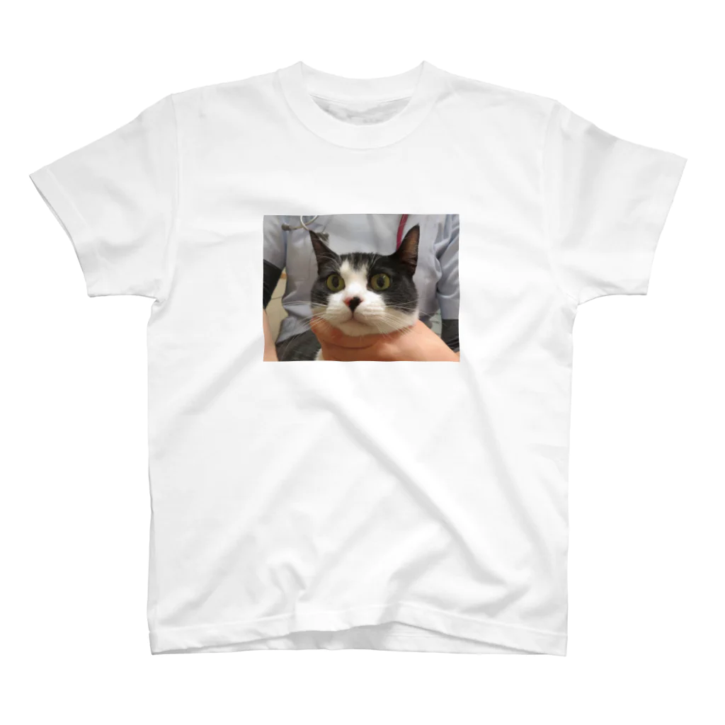 猫好きのはちわれ猫 Regular Fit T-Shirt