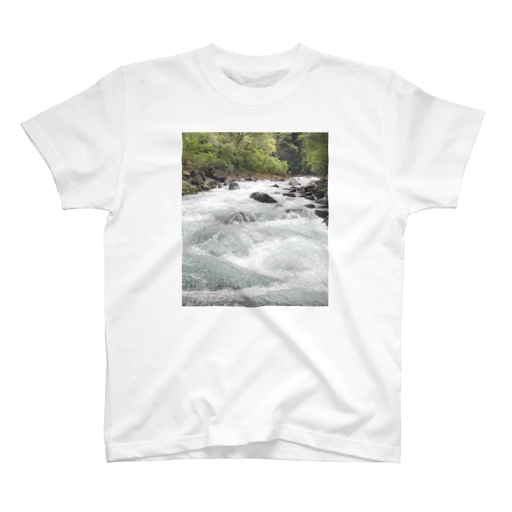 gcdnの高千穂の川　 スタンダードTシャツ