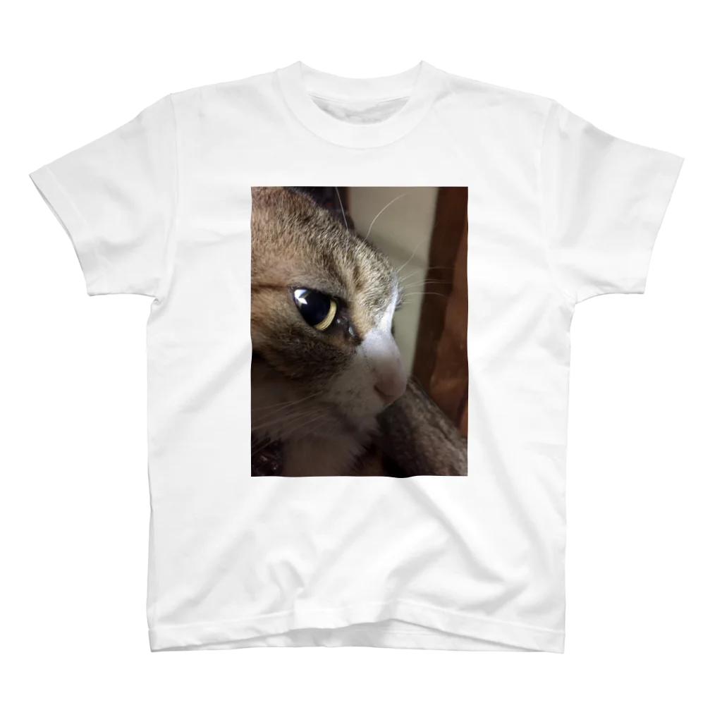 625626のねずみじゃないよ。猫だよ。 スタンダードTシャツ