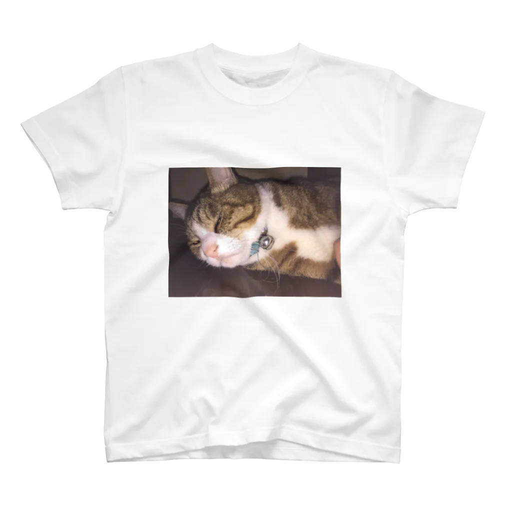 625626のぶさいく猫 Regular Fit T-Shirt