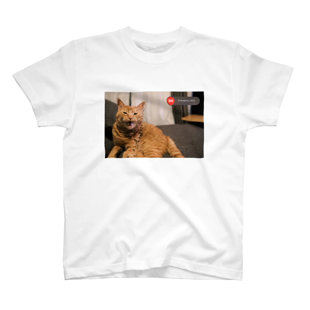 オラのネッコを見てくれのemergency cat Regular Fit T-Shirt