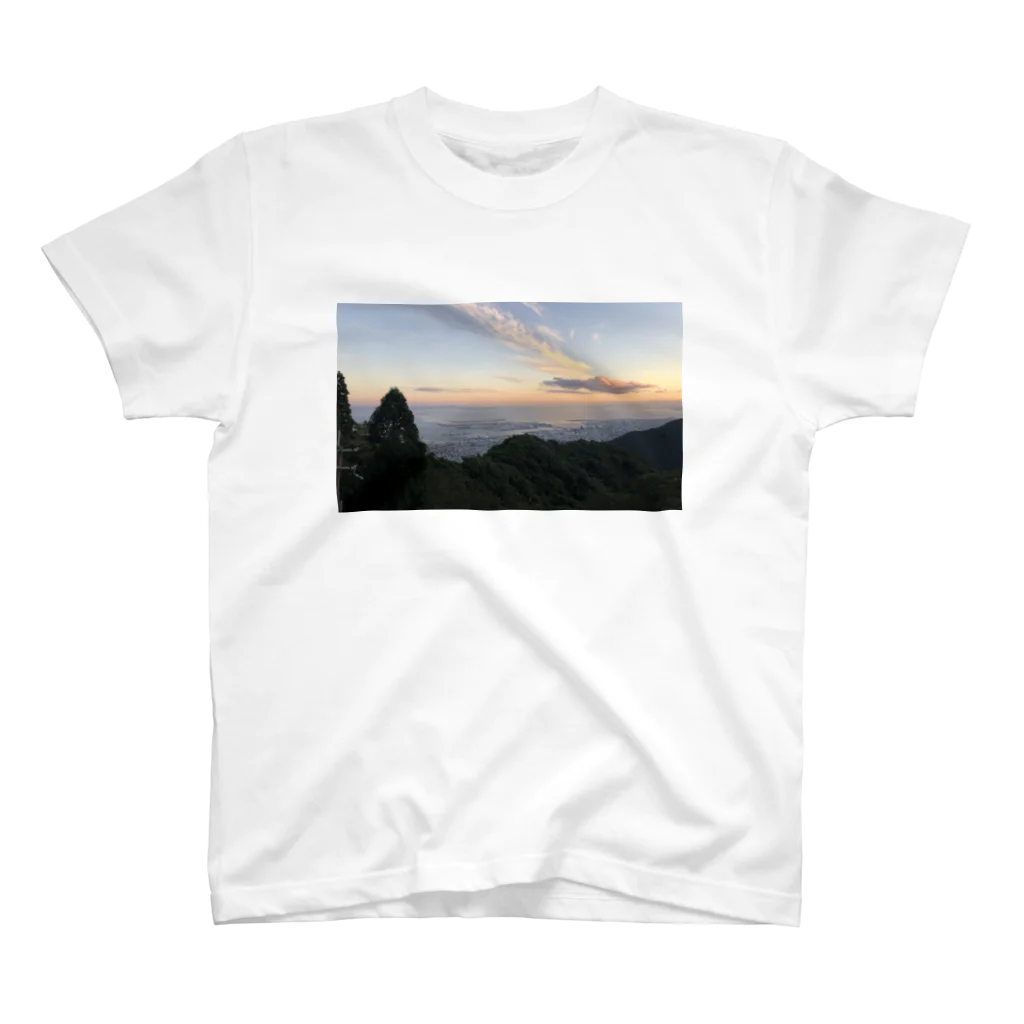 わびしさのよい景色 スタンダードTシャツ