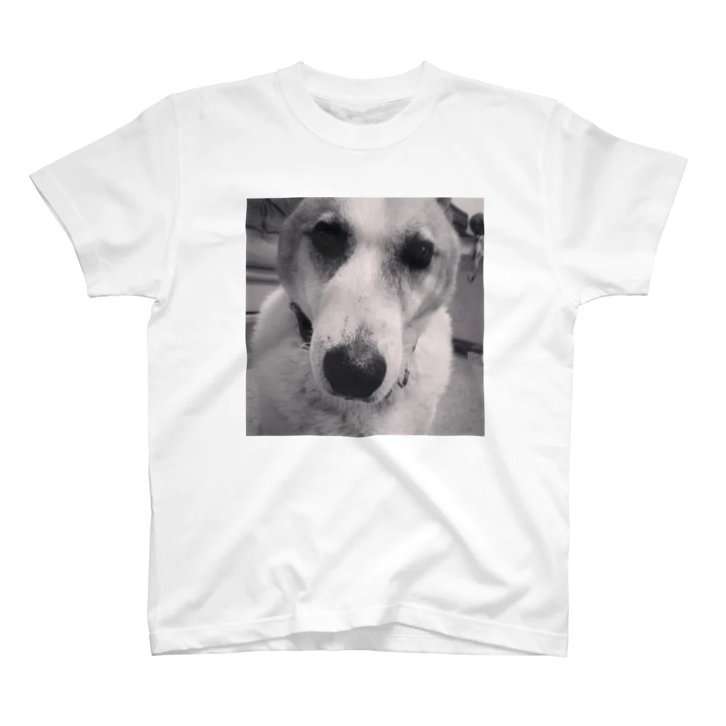 Tomyのdog Regular Fit T-Shirt