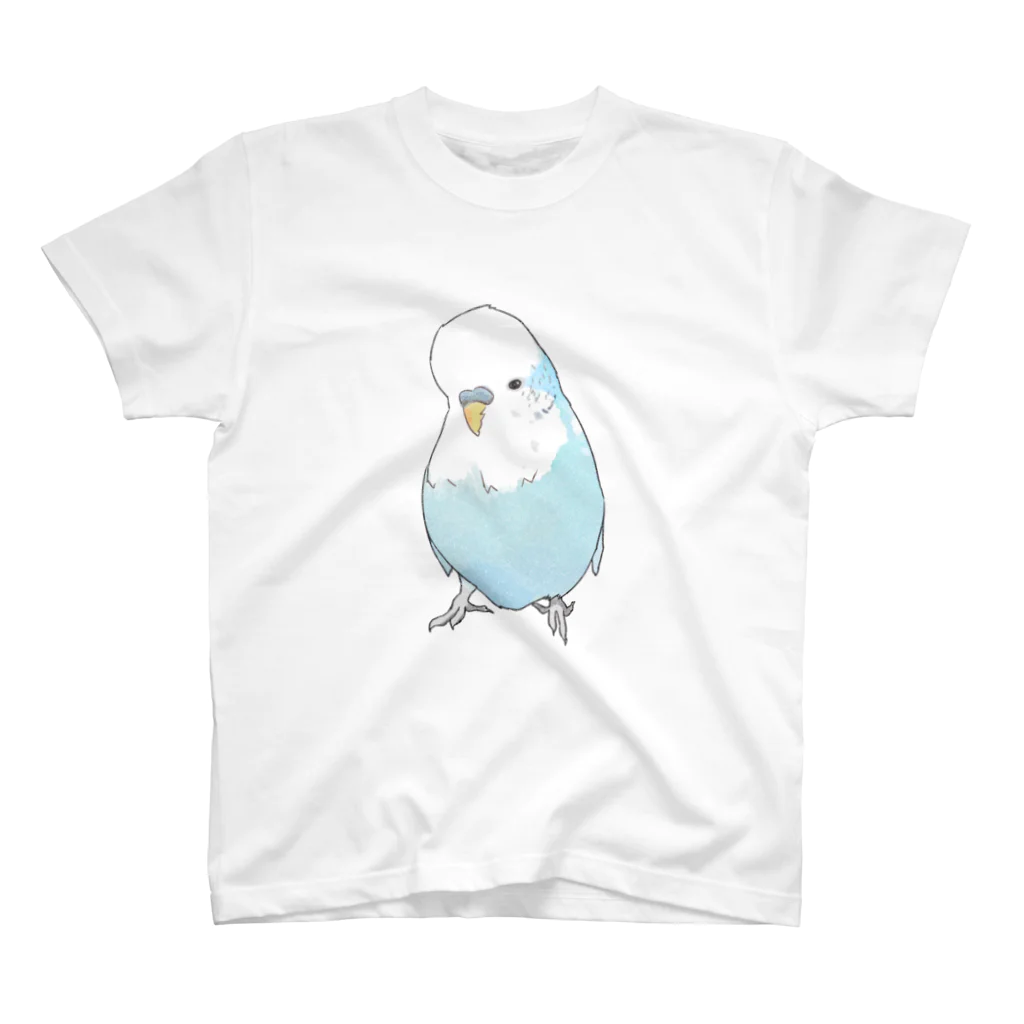 まめるりはことりの可愛いジャンボセキセイインコ【まめるりはことり】 スタンダードTシャツ