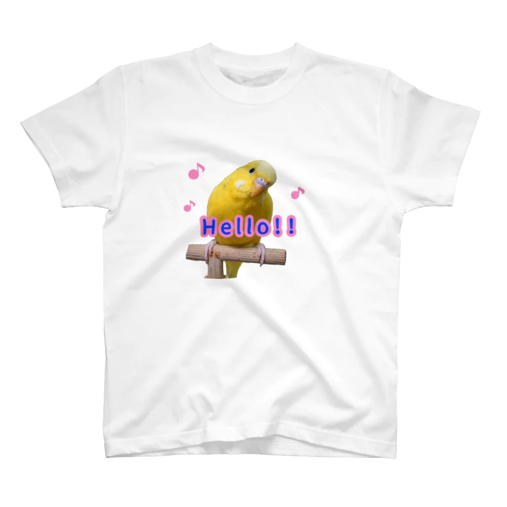 ぴーよこまる（セキセイインコ）のまるのこんにちは♪ スタンダードTシャツ