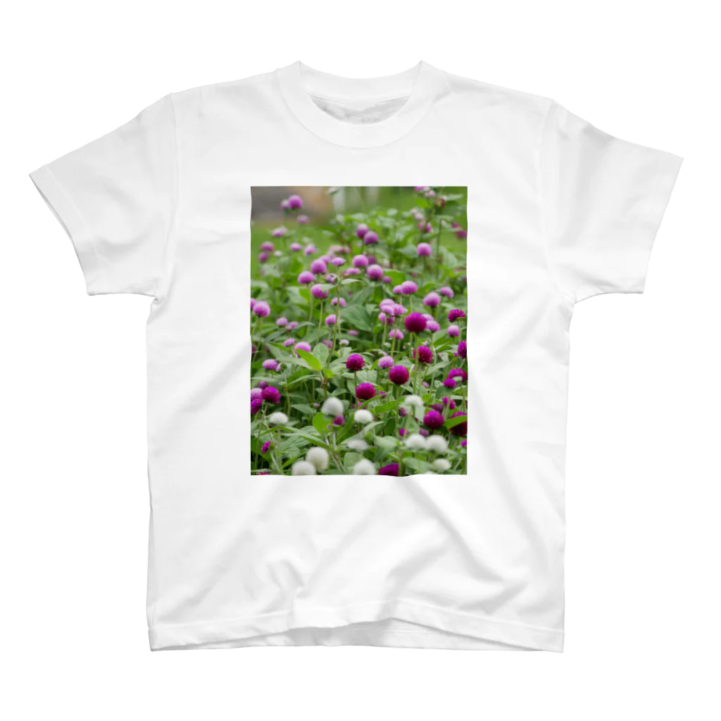 花染めの箱庭の千日紅 Regular Fit T-Shirt