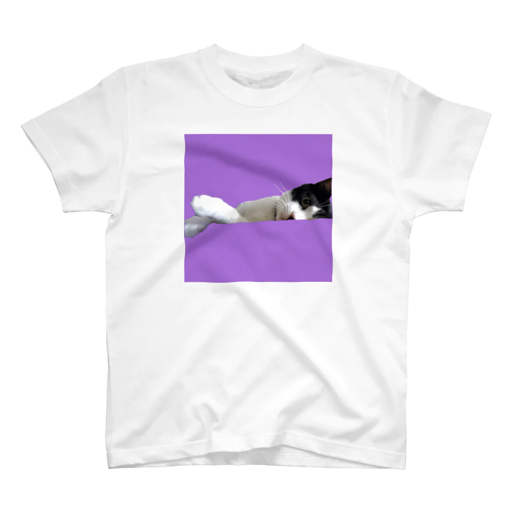 猫好きの横たわりはちわれ猫 Regular Fit T-Shirt