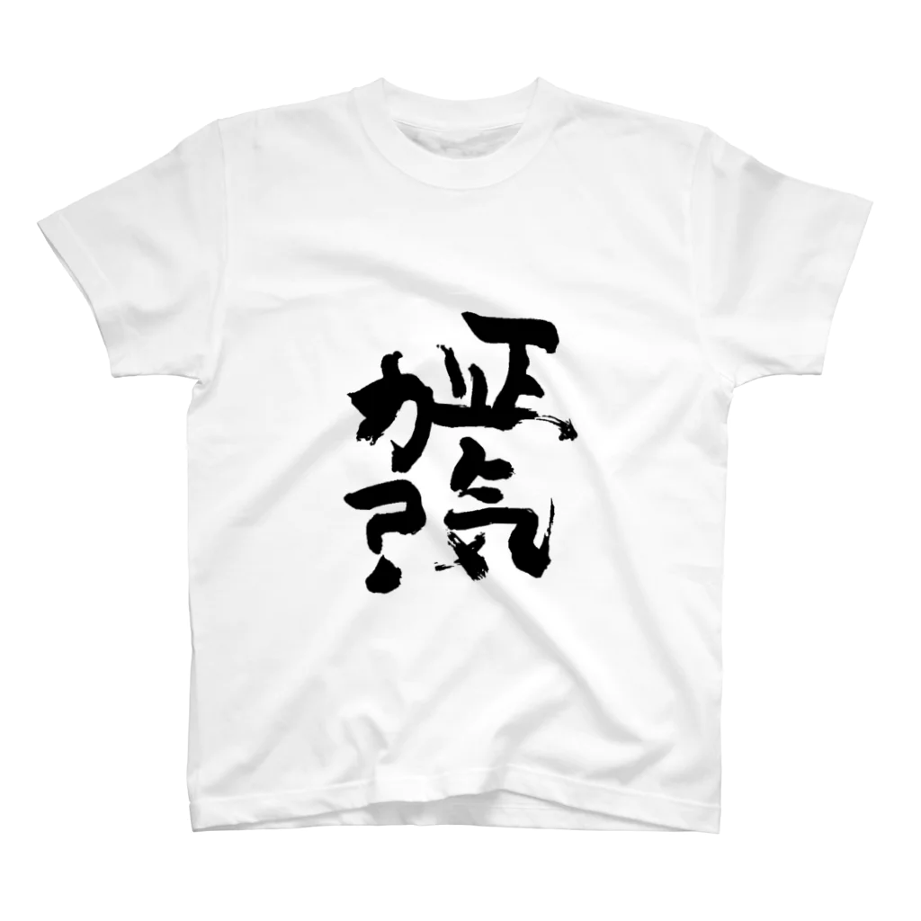 だんごむしの正気か？ スタンダードTシャツ