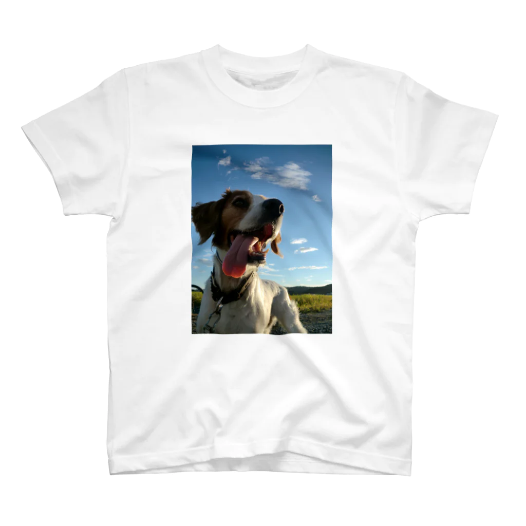 kyuの稲と犬 Regular Fit T-Shirt