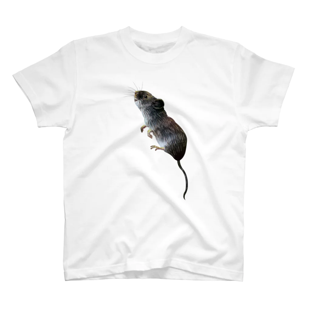 A TのネズミくんのTシャツ🐀 スタンダードTシャツ