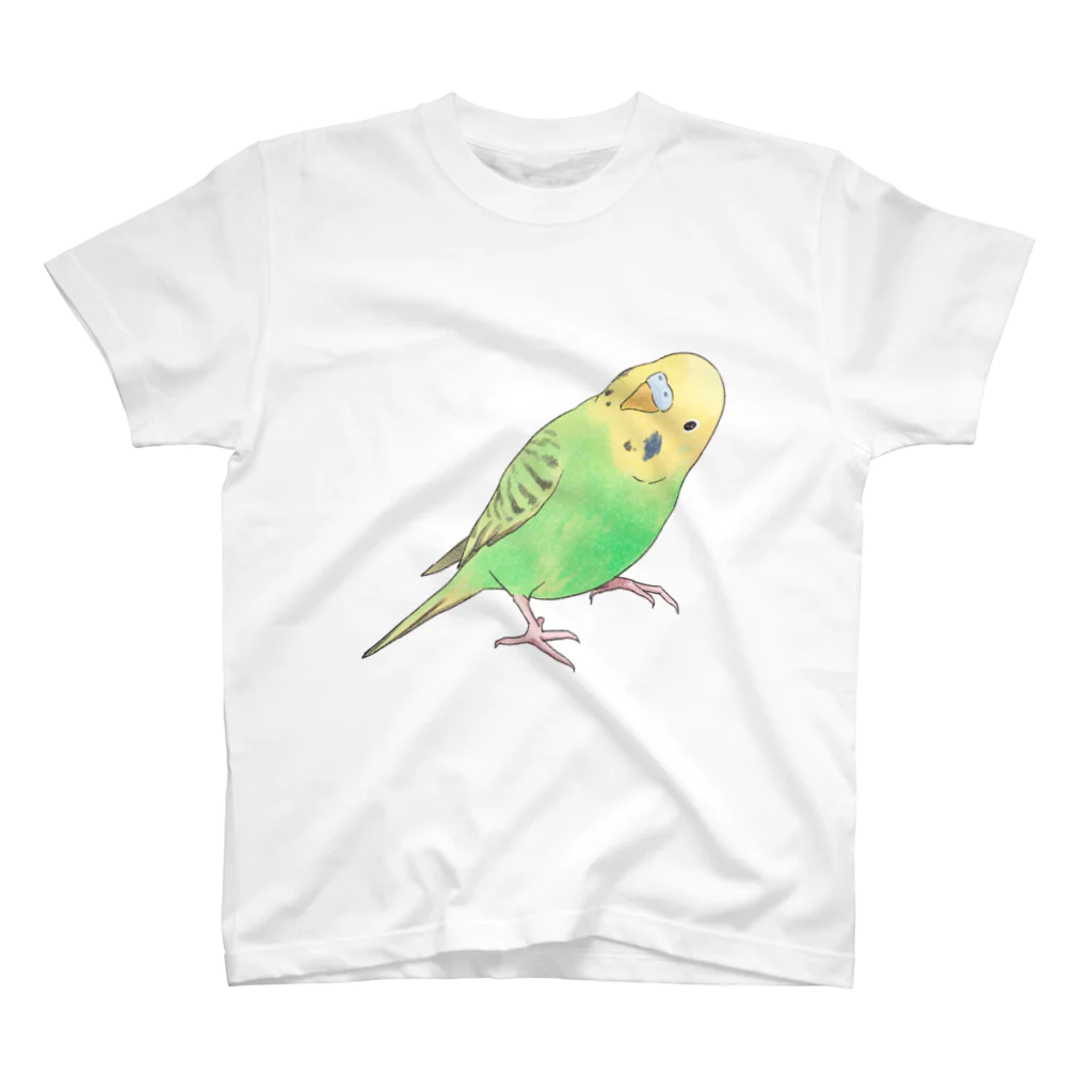 まめるりはことりの首傾げセキセイインコ　ピーちゃん【まめるりはことり】 スタンダードTシャツ