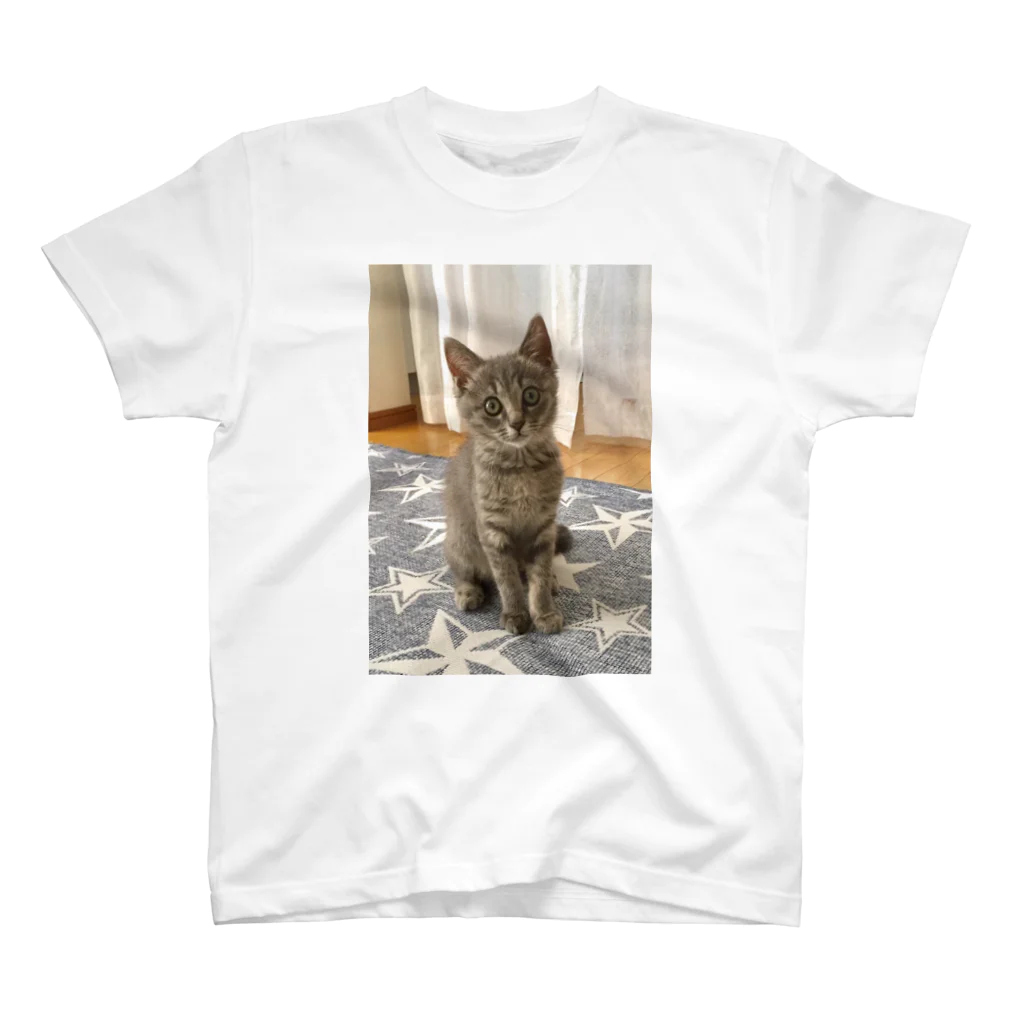 AWA・AWAの子猫の眼差し Regular Fit T-Shirt