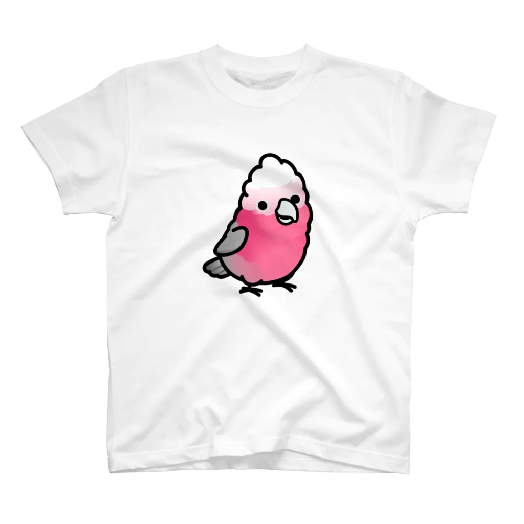 Cody the LovebirdのChubby Bird モモイロインコ スタンダードTシャツ