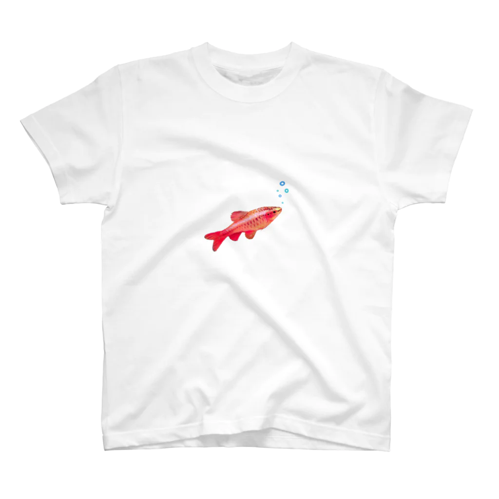 ぱすた ハンドメイド雑貨の赤いお魚 スタンダードTシャツ