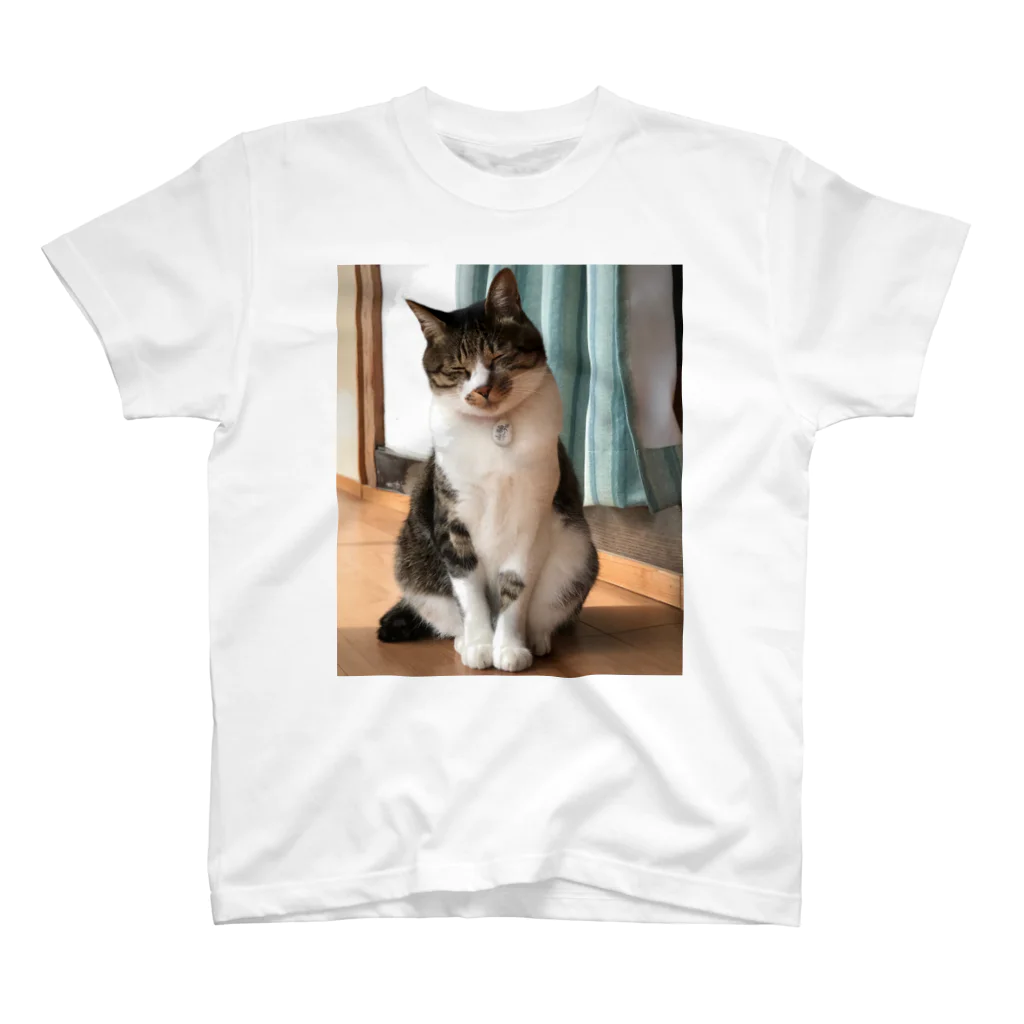 Yamawaki17のキャットネコ猫（実写） スタンダードTシャツ