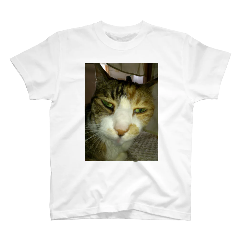 powpowの寝ぼけ猫 Regular Fit T-Shirt