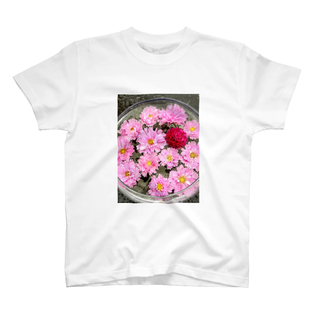 ゆきの八重咲き秋桜 スタンダードTシャツ