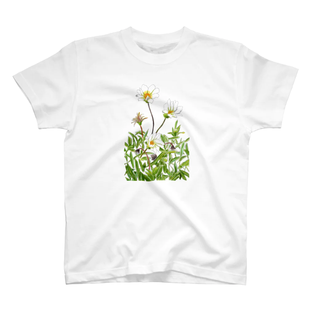 気ままに創作　よろず堂の花咲く小径①いろどり スタンダードTシャツ