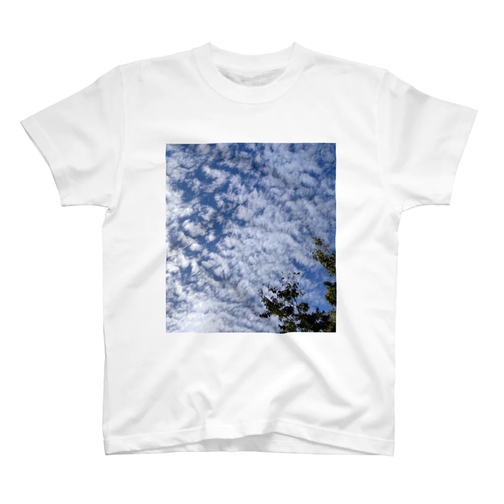 Lily bird（リリーバード）のいわし雲photo2 スタンダードTシャツ