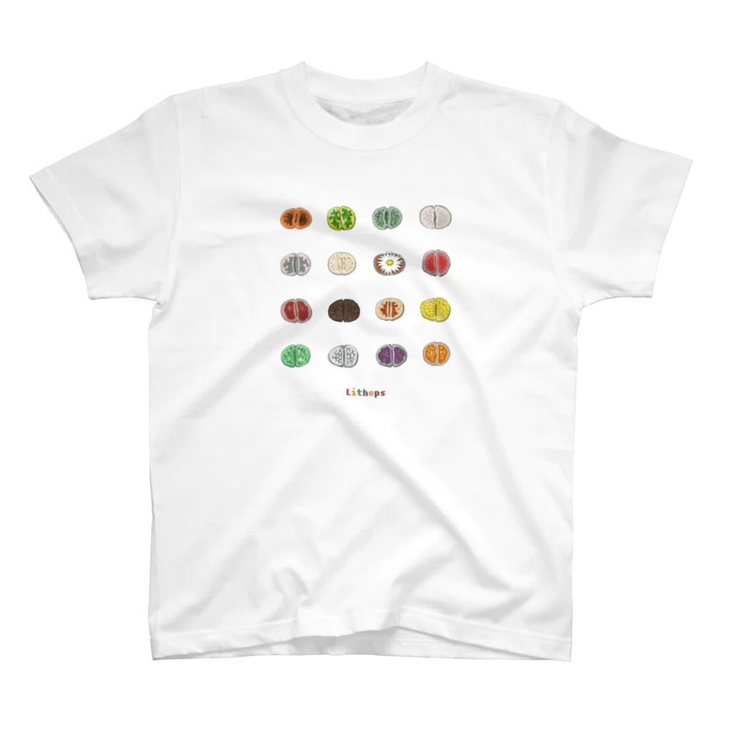 DOTEKKOのT-29 Lithops Regular Fit T-Shirt