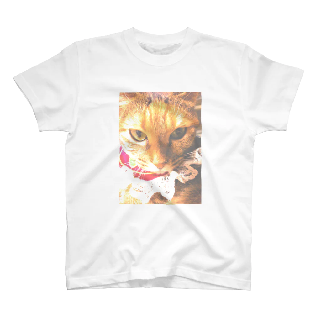 猫雑貨さんちこの猫プリンちゃん（姫） スタンダードTシャツ