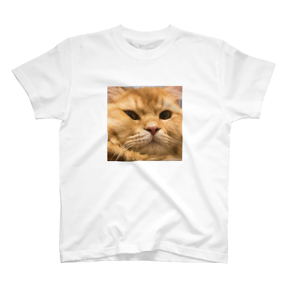 ビスコのうちのねこ Regular Fit T-Shirt