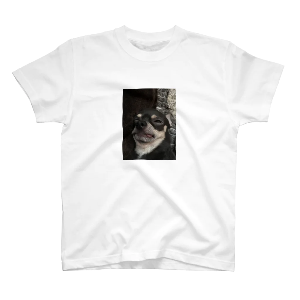 Orca-honeyのブサカワ系犬 スタンダードTシャツ