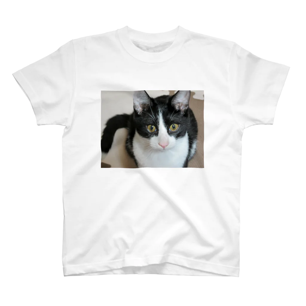ハチワレ猫とらくがきの我が家のサン 티셔츠