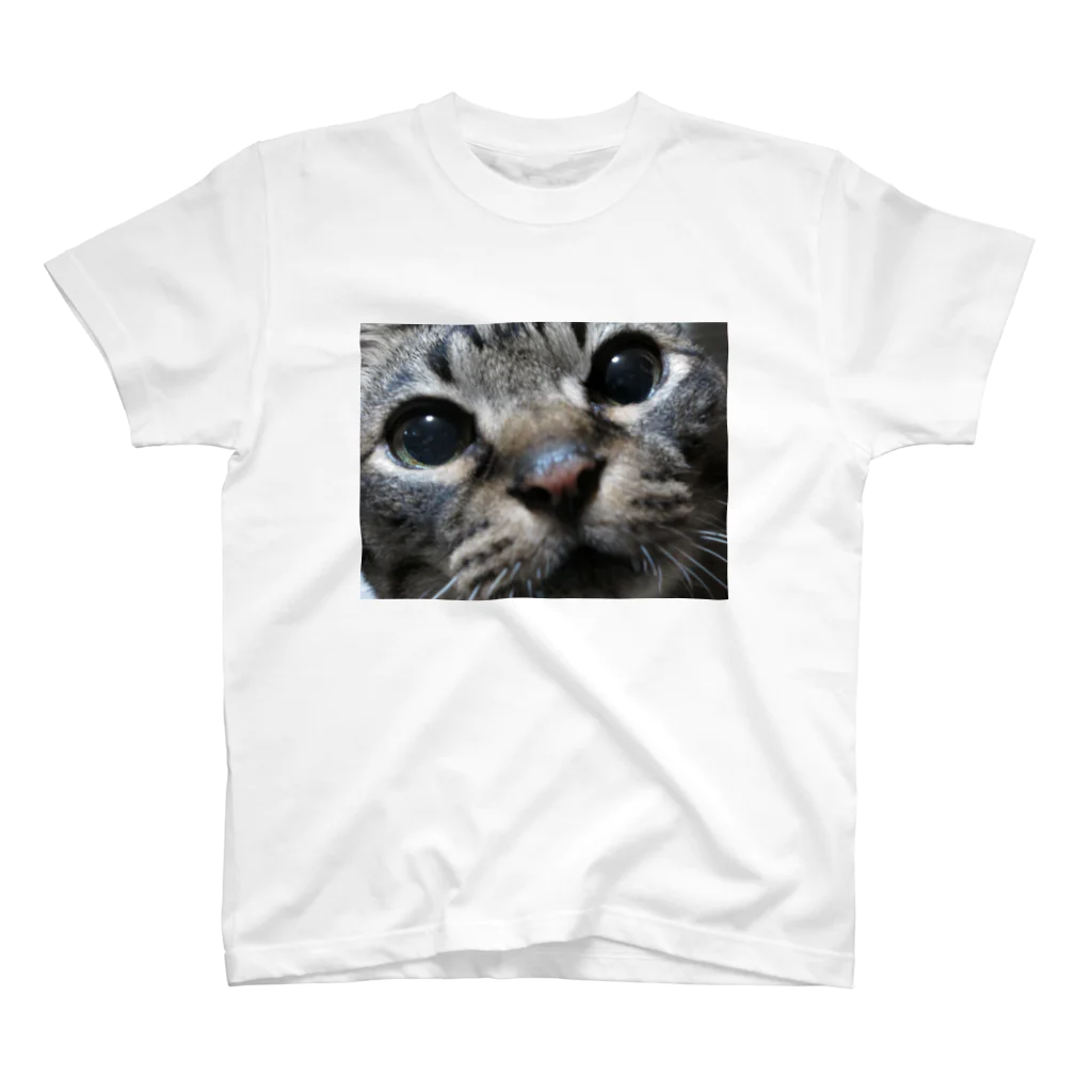 ハチワレ猫とらくがきの我が家の先代猫 スタンダードTシャツ