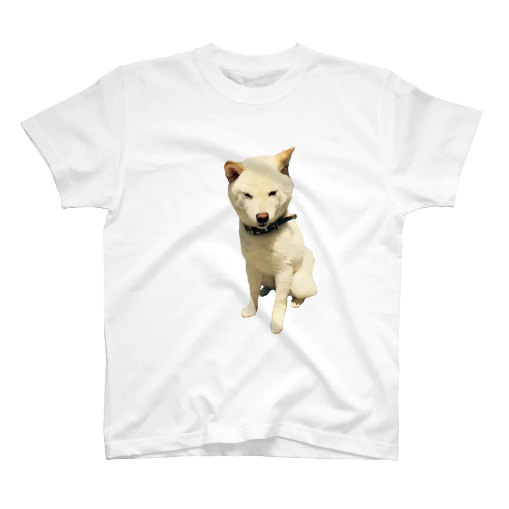 犬と猫と1日の豆柴犬のいっしんくん2 スタンダードTシャツ