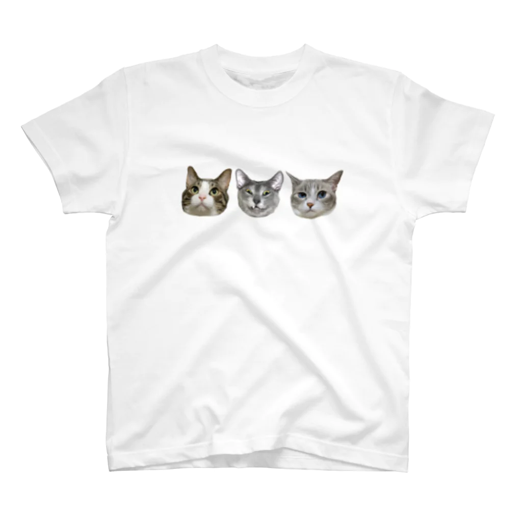 おっさんみたいな猫チャンの副菜3キャット Regular Fit T-Shirt