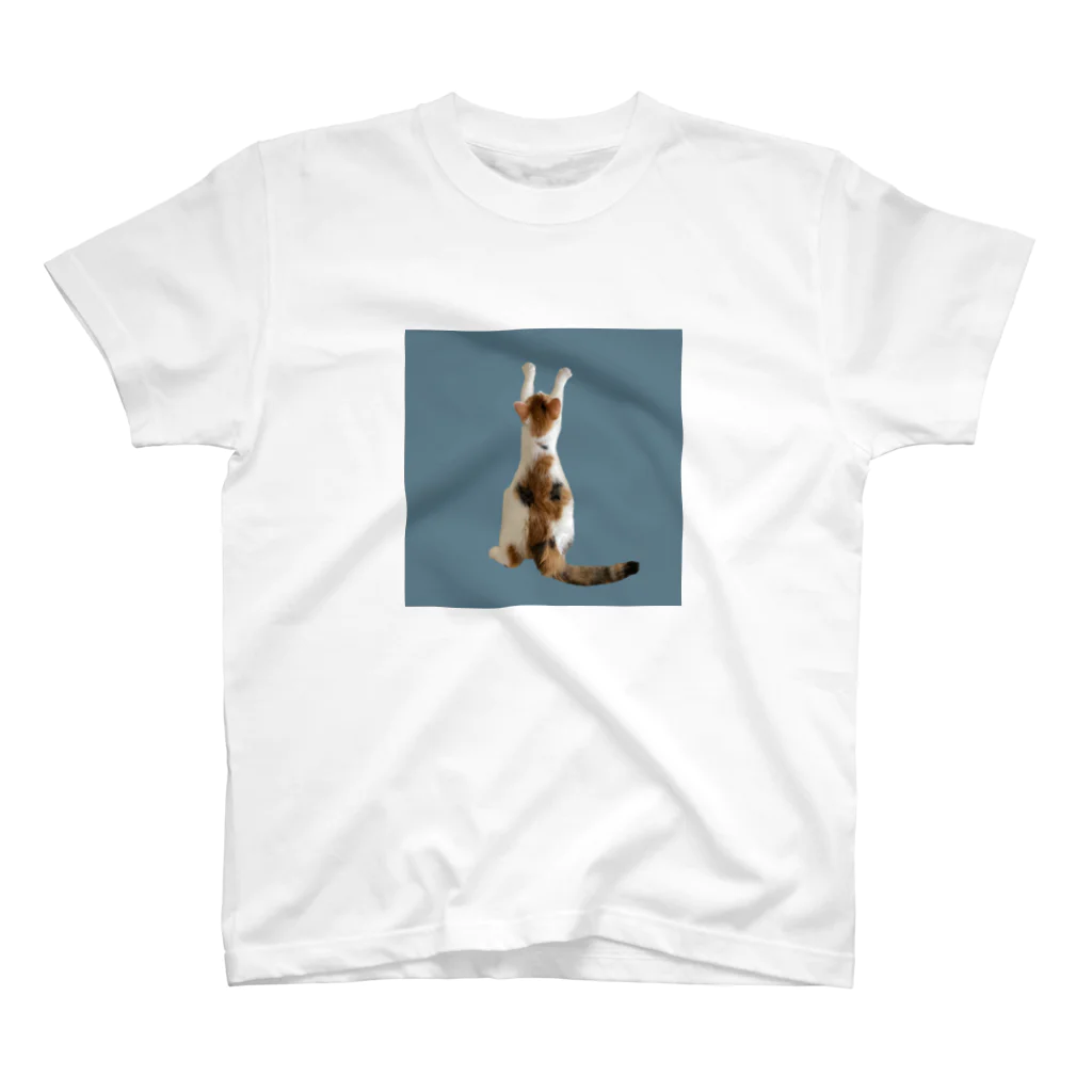 ニャーニャーとヤーヨのひっつかまる猫 (blue) / ニャーニャー スタンダードTシャツ