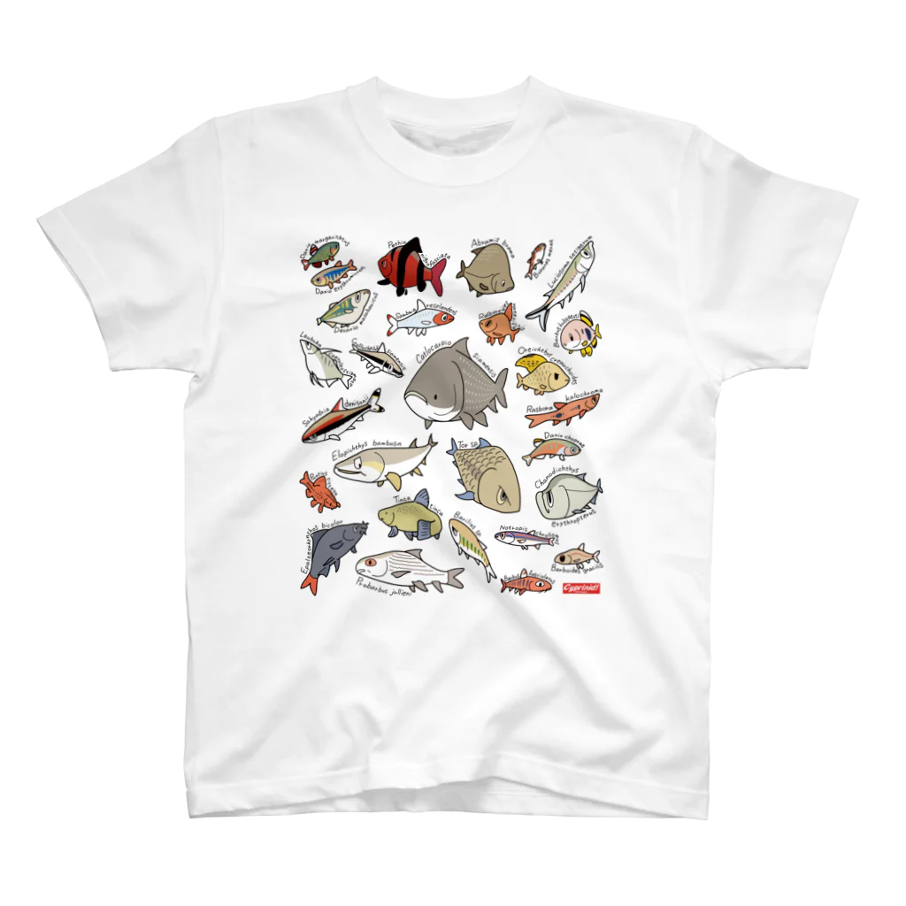 幻想水系branch　byいずもり・ようのVery Cyprinids!（international) スタンダードTシャツ