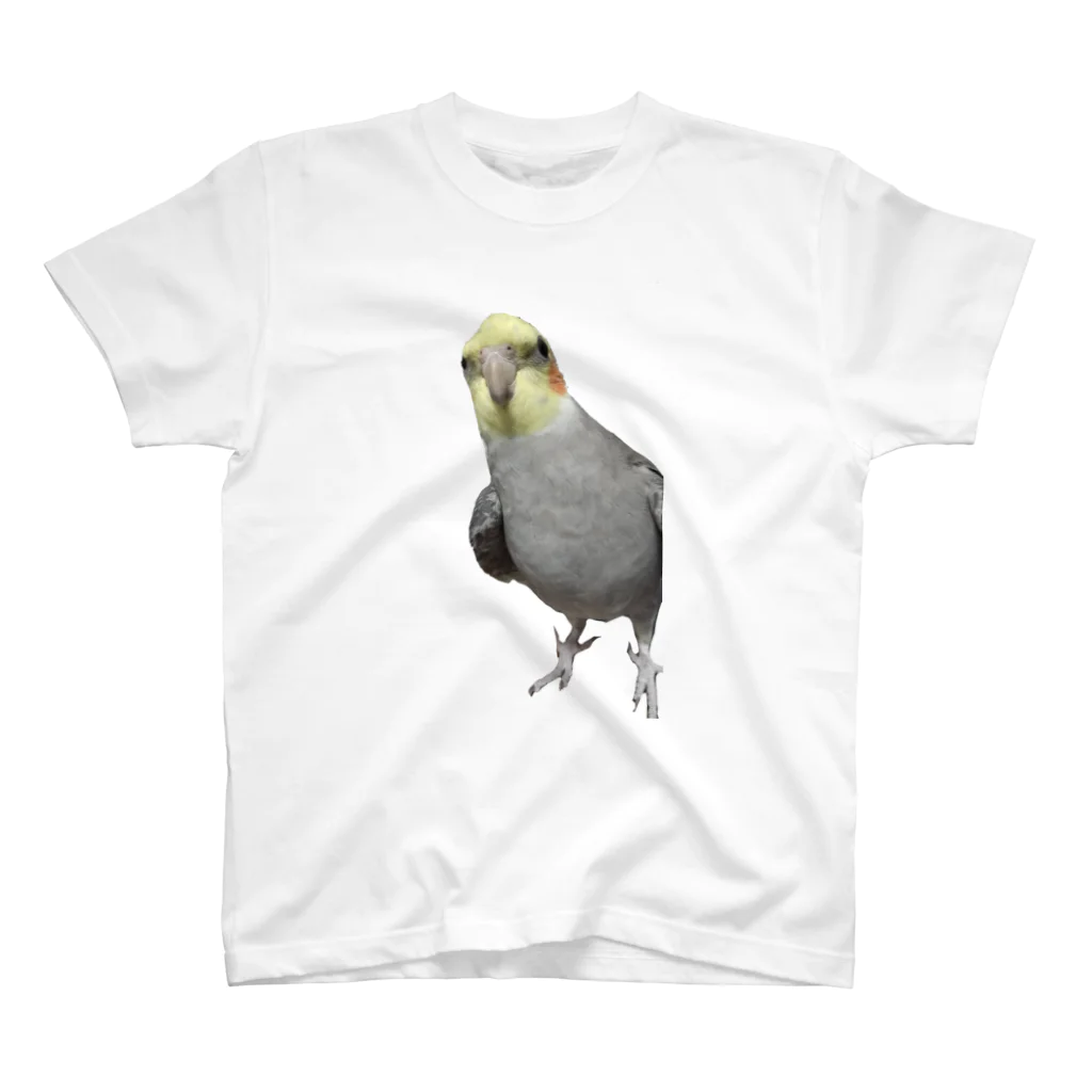 kabazousaruinunekoのオカメインコのベリー スタンダードTシャツ